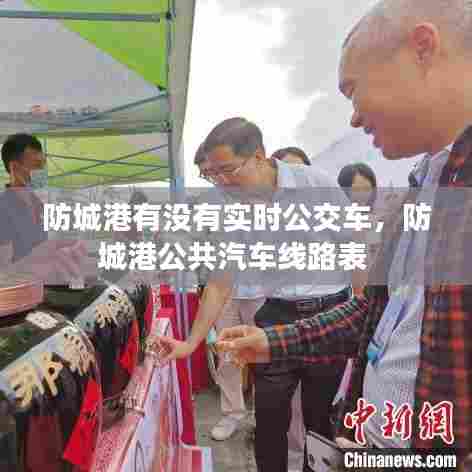 防城港有没有实时公交车，防城港公共汽车线路表 