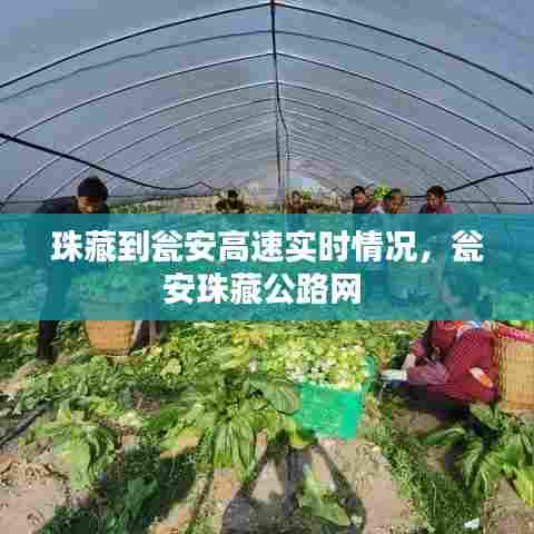 珠藏到瓮安高速实时情况,瓮安珠藏公路网