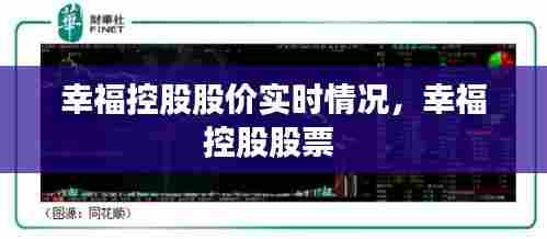 幸福控股股价实时情况,幸福控股股票