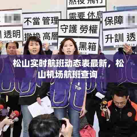 松山实时航班动态表最新，松山机场航班查询 
