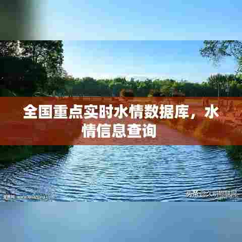 全国重点实时水情数据库，水情信息查询 