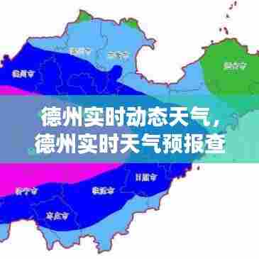 德州实时动态天气,德州实时天气预报查询