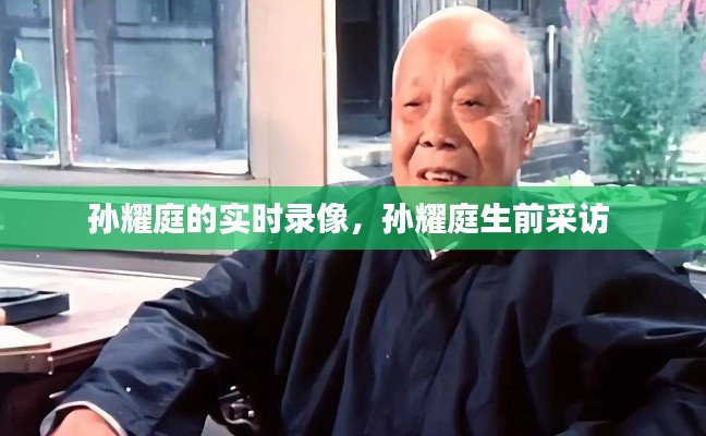 孙耀庭的实时录像，孙耀庭生前采访 