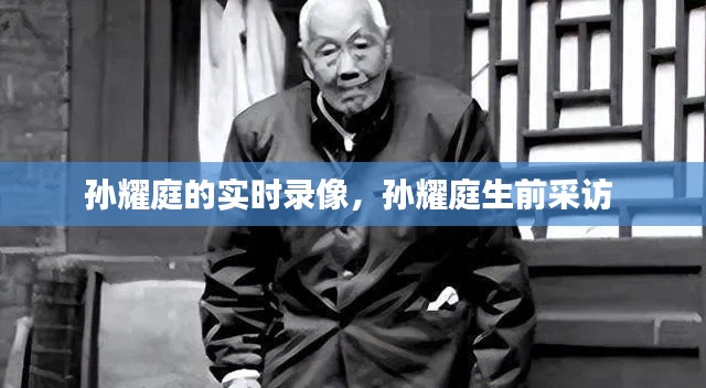 孙耀庭的实时录像,孙耀庭生前采访