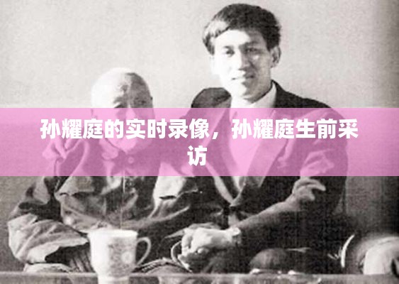 孙耀庭的实时录像,孙耀庭生前采访