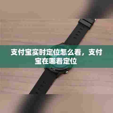 支付宝实时定位怎么看，支付宝在哪看定位 
