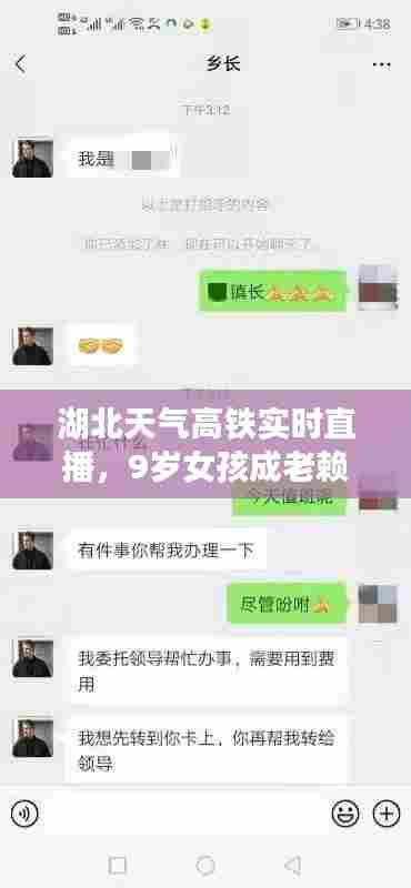 湖北天气高铁实时直播,9岁女孩成老赖案件的结局