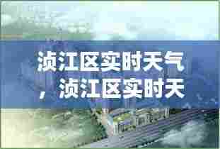浈江区实时天气,浈江区实时天气预报