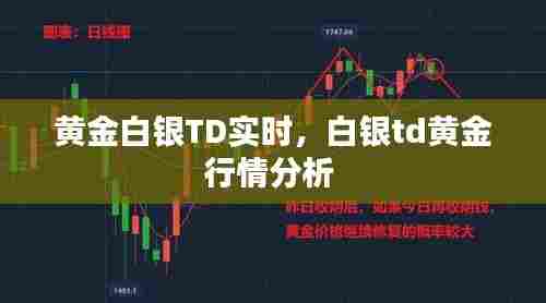 黄金白银TD实时,白银td黄金行情分析