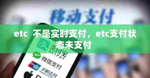 etc  不是实时支付，etc支付状态未支付 