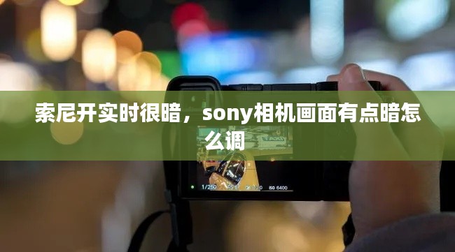 索尼开实时很暗，sony相机画面有点暗怎么调 