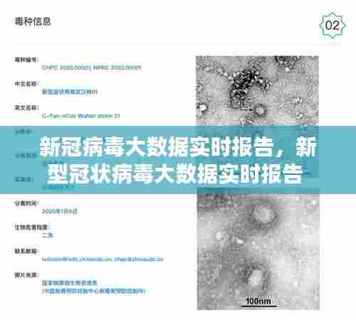 新冠病毒大数据实时报告,新型冠状病毒大数据实时报告