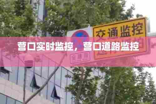 营口实时监控,营口道路监控