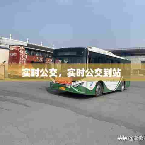实时公交,实时公交到站
