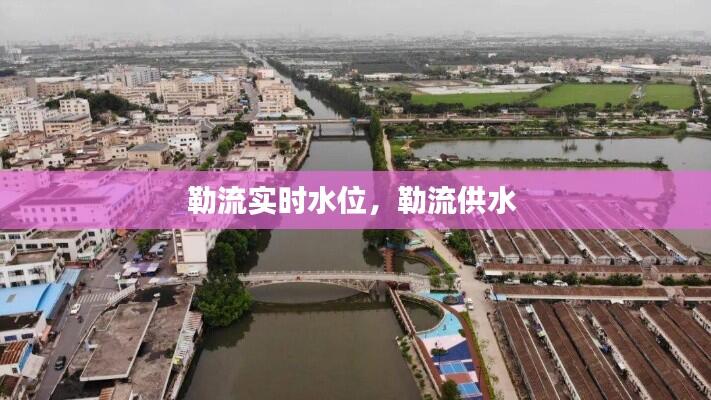 勒流实时水位，勒流供水 