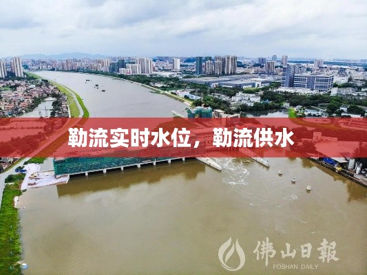 勒流实时水位,勒流供水
