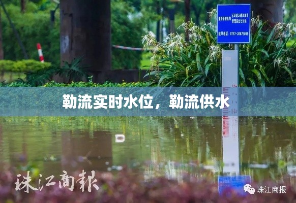 勒流实时水位,勒流供水