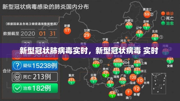 新型冠状肺病毒实时,新型冠状病毒 实时