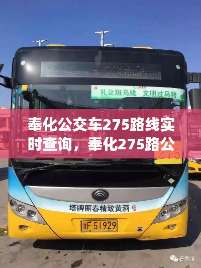 奉化公交车275路线实时查询，奉化275路公交车路线 