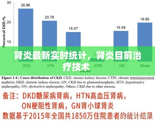 肾炎最新实时统计，肾炎目前治疗技术 