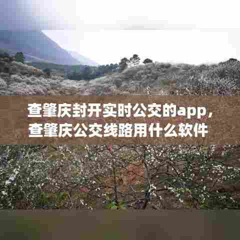 查肇庆封开实时公交的app,查肇庆公交线路用什么软件