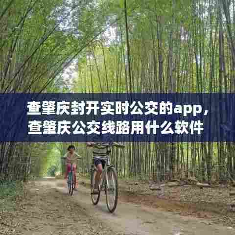 查肇庆封开实时公交的app,查肇庆公交线路用什么软件