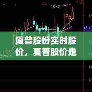 厦普股份实时股价，夏普股价走势 