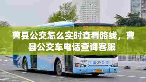 曹县公交怎么实时查看路线，曹县公交车电话查询客服 