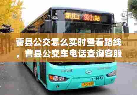 曹县公交怎么实时查看路线,曹县公交车电话查询客服