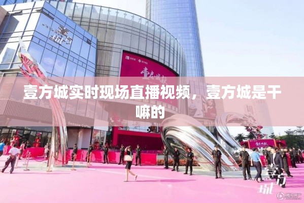 壹方城实时现场直播视频,壹方城是干嘛的