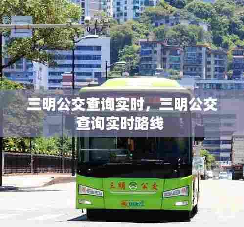 三明公交查询实时，三明公交查询实时路线 