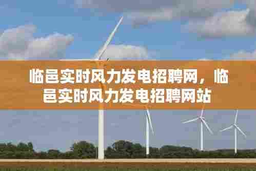 临邑实时风力发电招聘网，临邑实时风力发电招聘网站 