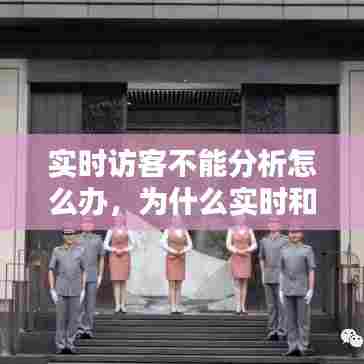 实时访客不能分析怎么办,为什么实时和访客数对不上