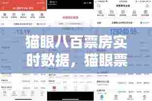 猫眼八百票房实时数据，猫眼票房分析专业版猫眼 