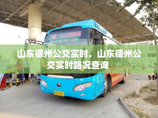 山东德州公交实时，山东德州公交实时路况查询 