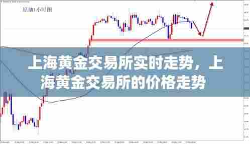 上海黄金交易所实时走势,上海黄金交易所的价格走势