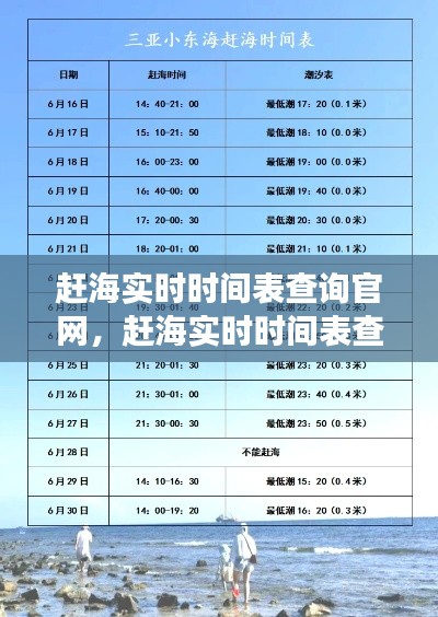 赶海实时时间表查询官网，赶海实时时间表查询官网首页 