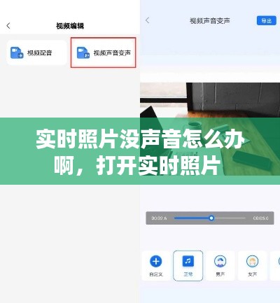 实时照片没声音怎么办啊,打开实时照片