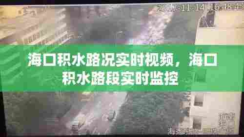 海口积水路况实时视频,海口积水路段实时监控