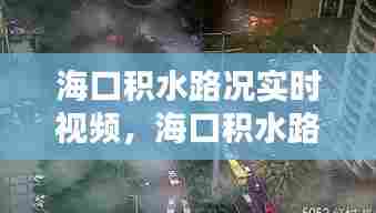 海口积水路况实时视频,海口积水路段实时监控