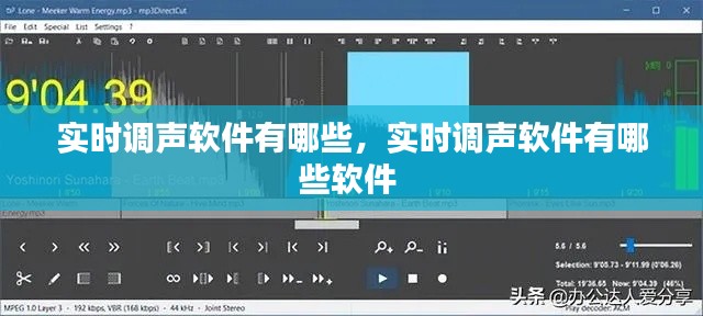 实时调声软件有哪些，实时调声软件有哪些软件 