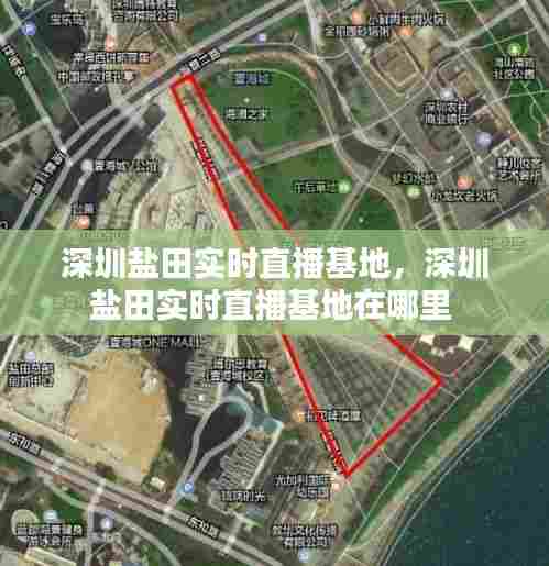 深圳盐田实时直播基地,深圳盐田实时直播基地在哪里