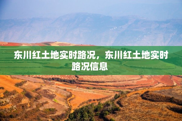 东川红土地实时路况,东川红土地实时路况信息