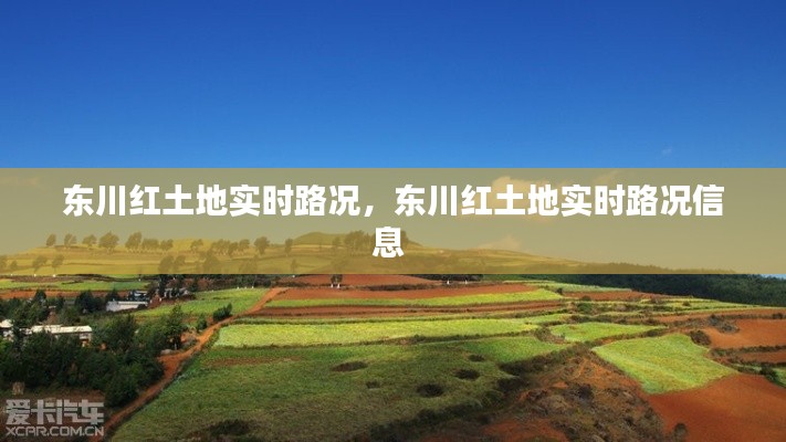 东川红土地实时路况,东川红土地实时路况信息