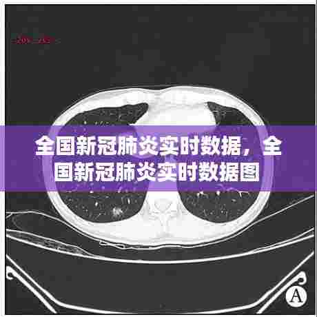 全国新冠肺炎实时数据,全国新冠肺炎实时数据图
