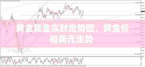 黄金美金实时走势图，黄金价格美元走势 