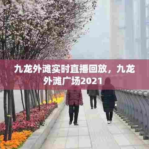 九龙外滩实时直播回放,九龙外滩广场2021