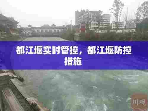 都江堰实时管控,都江堰防控措施