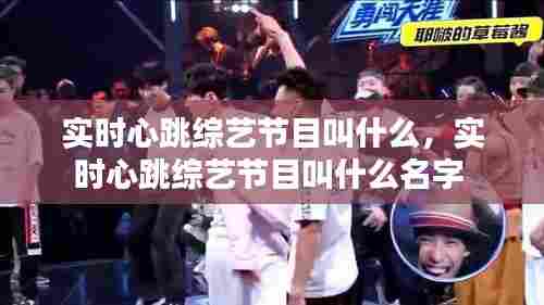 实时心跳综艺节目叫什么，实时心跳综艺节目叫什么名字 