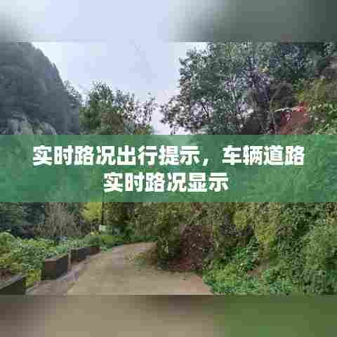 实时路况出行提示,车辆道路实时路况显示